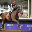 Jockey Kent Desormeaux celebrates after riding Texas Red to victory in the Breeders' Cup Juvenile horse race at Santa Anita Park, Saturday, Nov. 1, 2014, in Arcadia, Calif. (AP Photo/Jae C. Hong)