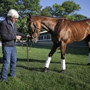 Trainer Bob Baffert shows Triple Crown winner American Pharoah to members of the media at Belmont Park in Elmont, N.Y., Sunday, June 7, 2015. American Pharoah won the Belmont Stakes to become the first horse to win the Triple Crown in 37 years. (AP Photo/Seth Wenig)