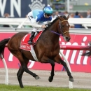 Zac Purton rides Admire Rakti during the Melbourne Cup at Flemington Racecourse, November 4, 2014. REUTERS/Brandon Malone