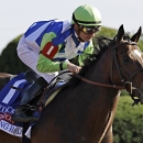 FILE - In this April 11, 2015, file photo, jockey Julien Leparoux rides Divining Rod to a three-length victory in the Lexington Stakes horse race at Keeneland in Lexington, Ky. Roy and Gretchen Jackson look forward to what Divining Rod may achieve, as the owners head to the Preakness for the first time since Barbaro's fateful trip there nine years ago. (AP Photo/Garry Jones, File)