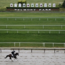 Tale of Verve works out on the main track at Belmont Park, Tuesday, June 2, 2015, in Elmont, N.Y. Tale of Verve is expect to run Saturday, June 6, in the Belmont Stakes horse race, where Kentucky Derby and Preakness winner American Pharoah will try for a Triple Crown. (AP Photo/Julie Jacobson)