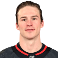 Andrei Svechnikov headshot