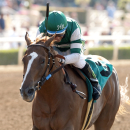 In this image provided by Benoit Photo, Stellar Wind, with Victor Espinoza aboard, wins the Grade II $200,000 Summertime Oaks horse race Saturday, June 20, 2015, at Santa Anita Park in Arcadia, Calif. (Benoit Photo via AP)