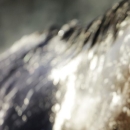 A horse gets a bath after a morning workout at Churchill Downs Friday, May 1, 2015, in Louisville, Ky. (AP Photo/Jeff Roberson)