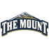Mount St. Mary's