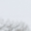 Jockey Julien Leparoux rides Divining Rod to a three-length victory in the Lexington Stakes horse race at Keeneland in Lexington, Ky., Saturday, April 11, 2015. (AP Photo/Garry Jones)