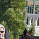 Victor Espinoza rides American Pharoah to victory in the 141st running of the Kentucky Derby horse race at Churchill Downs Saturday, May 2, 2015, in Louisville, Ky. (AP Photo/Brynn Anderson)