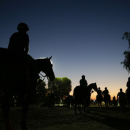 Riders and horses walk toward the track for a morning workout ahead of the Breeders' Cup races at Santa Anita Park Wednesday, Oct. 29, 2014, in Arcadia, Calif. (AP Photo/Jae C. Hong)