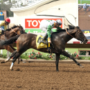 In this photo provided by Benoit Photo, Wild Dude with jockey Flavien Prat, right, win the Grade I $300,000 Bing Crosby Stakes horse race in Del Mar, Calif., Sunday, July 26, 2015. (Benoit Photo via AP)