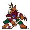 Arizona Coyotes