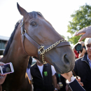 Members of the media touch and photograph Triple Crown winner American Pharoah at Belmont Park in Elmont, N.Y., Sunday, June 7, 2015. American Pharoah won the Belmont Stakes to become the first horse to win the Triple Crown in 37 years. (AP Photo/Seth Wenig)