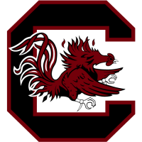 Fans of South Carolina