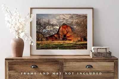 Barnyard Designs 4 Rustic Picture Frames with Matte for 4x6