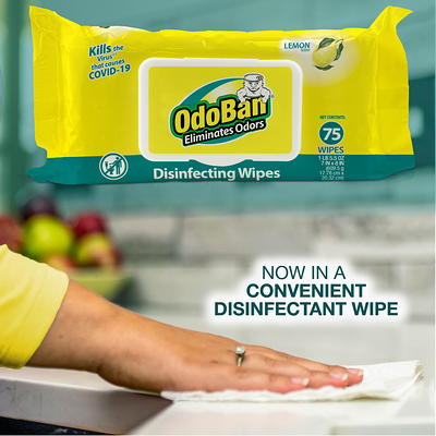 OdoBan 14.6 oz. Citrus Multi-Purpose Disinfectant Spray, Odor