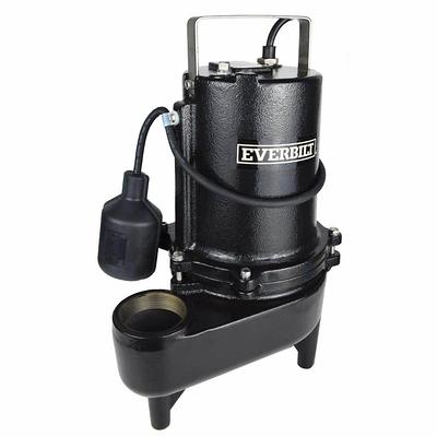 Everbilt 1.5 HP Variable Speed Pool Pump PCP15001-VSP - The Home Depot