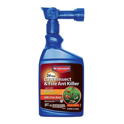 BUGMD Blaster Kit - 3 Pest Control Essential Oil Concentrate and 1 Power  Blaster - Plant-Powered Bug Spray for Home, Insect Killer, Ant Killer for  House, Flea Spray for Home, Roach Spray 