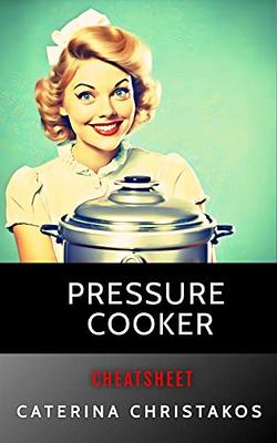 Stainless Steel Pressure Cooker, 1.6 Quart Mini Pressure Cooker Safe  Explosion Proof 1.8L Pressure Cooker Oyster Fish Head Pot for Gas Stove  Induction