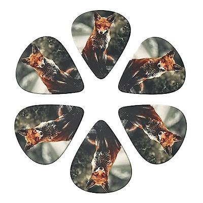 Funny Pasta Guitar Picks Plectrums,Thin Guitar Picks For Electric Guitar  Acoustic Guitar,Guitar Pick 6 Pack Guitar Pick Holder - Guitar Accessories