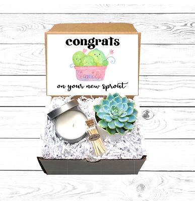 New Baby Gift Box, Congrats On Your New Baby, New Mama Succulent