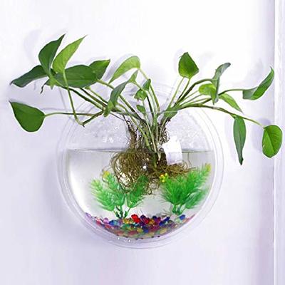 Wall Fish Tank Acrylic Wall Fish Bowl Betta Tank Hanging Aquarium