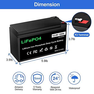 LPFMAX 12V 12Ah LiFePO4 Battery, Deep Cycle Lithium Iron Phosphate Battery  Built-in BMS Protection, 2000-5000 Cylces, 10 Years Lifetime, Perfect for  Kid Scooters, Power Wheels, Fish finder etc… - Yahoo Shopping