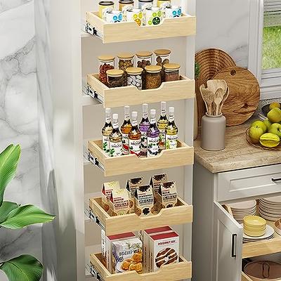 2 Packs Pull Out Spice Rack Organizer for Cabinet, Durable Slide Out Spice  Racks Organizer, Easy to Install Spice Cabinet Organizers