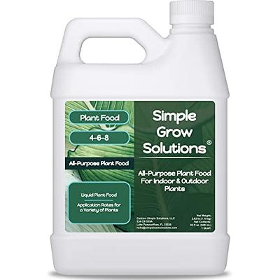 Harris Horticultural Charcoal, Premium Biochar Soil Amendment for Plants  and Terrariums, 2qt - Yahoo Shopping