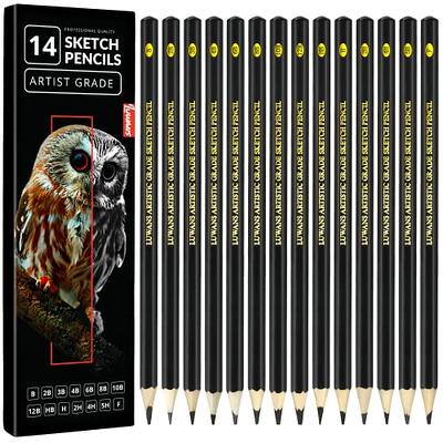 Professional 14 Pcs Drawing Sketch Pencils Set Grapgite Pencil Art Supplies  6H 4H 2H HB B