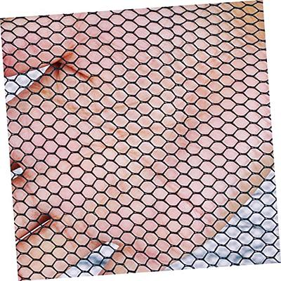 QualyQualy 2PCS Crawfish Trap, Crab Traps for Blue Crabs Crayfish Crawdad  Trap Minnow Bait Trap Fish Nets Crab Pots for Creeks Lakes