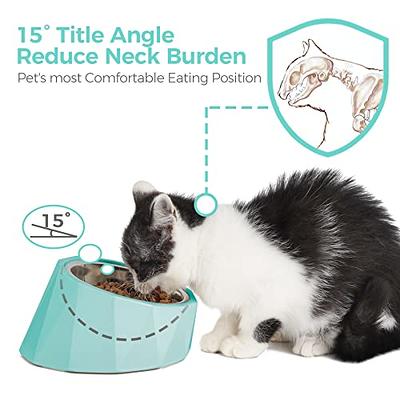 Elevated Cat Bowls, Bowls With Stand, Raised Cat Food Kitten Bowl, Ceramic  Best - Yahoo Shopping