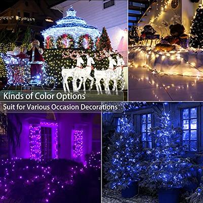 Brizled Color Changing Christmas Lights, 33ft 100 LED Christmas