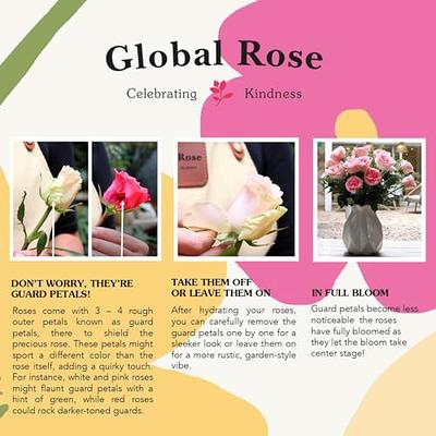 Fresh Flowers- 50 Red Roses- Lovely Gift