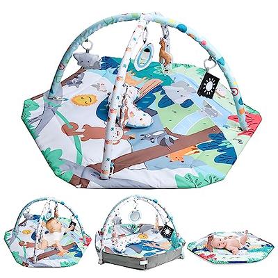 Baby Gym, Premium Baby Activity Gym