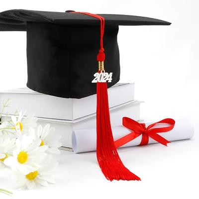  2024 Graduation Tassel 2 Pcs, 2024 Tassel Charm, 2024 Tassel  Graduation 2 Pcs, Tassel For Graduation Cap 2024, Purple And White Tassel  2024