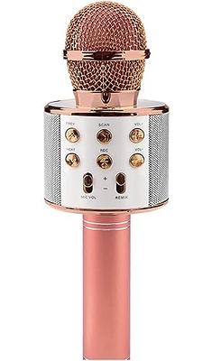 Amazmic Karaoke Microphone for Adults, Wireless Bluetooth Microphone for  Singing Portable Karaoke Machine Handheld with LED Lights, Gift for Kids