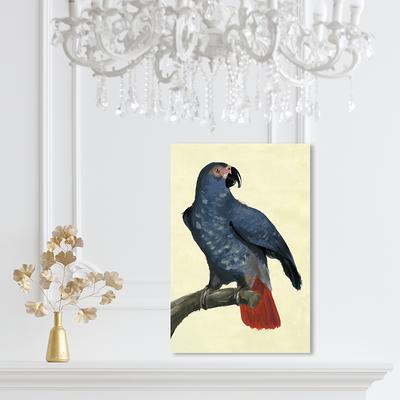 Oliver Gal 'Parrot' Animals Wall Art Canvas Print - Blue, Yellow