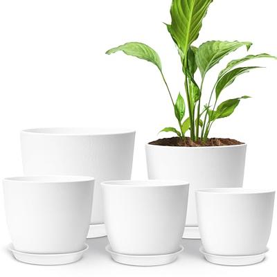 5 Packs 6 inch Plastic Planters with Saucers Modern Decorative Garden plant  pots