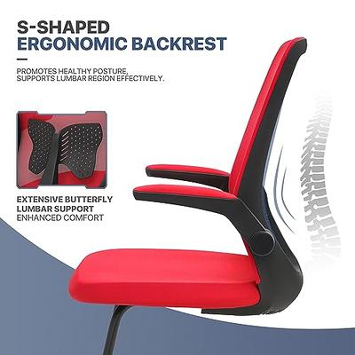 MoNiBloom Ergonomic Office Chair Lumbar Support 360 Swivel Breathable