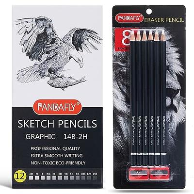 PANDAFLY Professional Drawing Sketching Pencil Set - 12 Pieces Graphite  Pencils(14B - 2H), Ideal for Drawing Art, Sketching, Shading, Artist Pencils  for Beginners & Pro Artists 12 Pack - Black