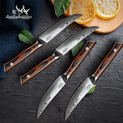 Steak Knives Set - 5 - 4 Pcs Steak Knifs - Damascus Steel - Japanese  AUS-10 Super Steel - Gifts Boxed - Premium Quality Red G10 Knives Handel Steak  Knife Set - Yahoo Shopping