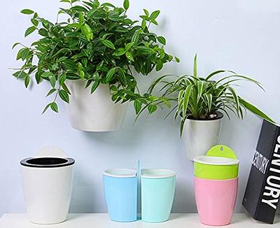 JOFAMY 6 inch Planter Pots, 5-Pack Self Watering Planters for Indoor  Outdoor Plants, Plastic Plant Pots Set with Drainage Hole, Decorative White