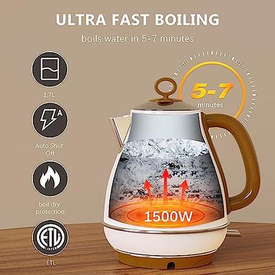 Electric Kettle Stainless Steel for Boiling Water, Double Wall Hot Water  Boiler Heater, Cool Touch Electric Teapot, Auto Shut-Off & Boil-Dry