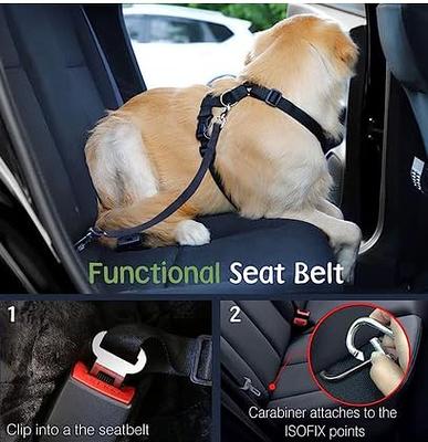 Pawbee Dog Seat Belt For Car - 2 Pack Dog Car Harness - Adjustable