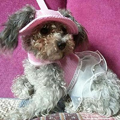  Sebaoyu Dog Hat for Small Medium Dogs, Dog Sunglasses Summer  Fall Baseball Cap Pet Puppy Visor Hats Sunbonnet Outfit with Ear Holes  Doggy Cat Goggles Breed (Small) : Pet Supplies