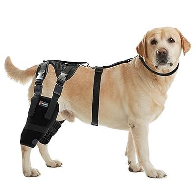 Dog Knee Brace for Torn Acl Hind Leg Large Small Back Legs