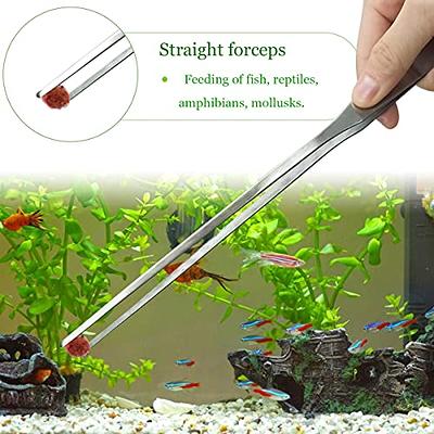 2Pcs Stainless Reptile Feeding Tongs and Feeding Clamp for Fish Aquariums,  Reptiles Snakes Lizard Gecko Spider and Bird (Black) - Yahoo Shopping
