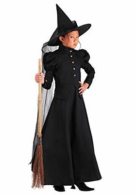 Women's Deluxe Witch Costume, Wicked Witch Costume