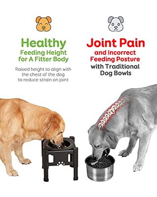Veehoo Adjustable Elevated Dog Bowls, Raised Dog Dish Stand with 2 Food  Bowls & 1 Slow Feeder, Black 