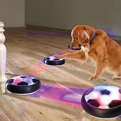 Active Rolling Ball for dogs,Interactive Dog Toys for Entertainment &  Stimulation Wicked Active Rolling Ball with 2 Replacement Protective  Silicone
