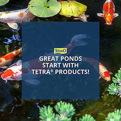 TetraPond Spring And Fall Diet 3.08 Pounds, Pond Fish Food, For Goldfish  And Koi (16469), 3 lb, 7 L - Yahoo Shopping
